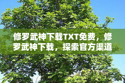 修罗武神下载TXT免费，修罗武神下载，探索官方渠道的便捷与乐趣