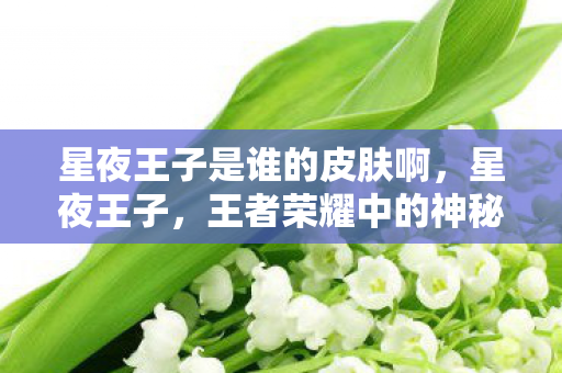 星夜王子是谁的皮肤啊，星夜王子，王者荣耀中的神秘皮肤