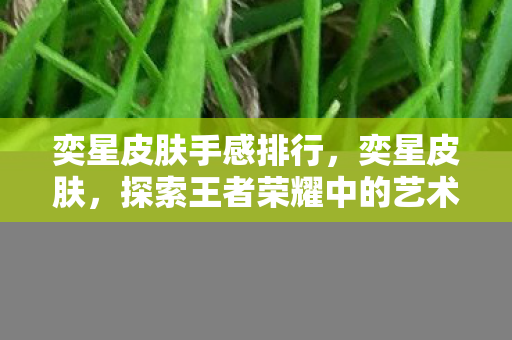 奕星皮肤手感排行，奕星皮肤，探索王者荣耀中的艺术之旅