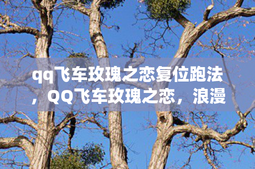 qq飞车玫瑰之恋复位跑法，QQ飞车玫瑰之恋，浪漫赛道上的极速之旅