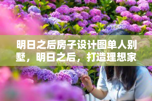 明日之后房子设计图单人别墅，明日之后，打造理想家园的房设计攻略