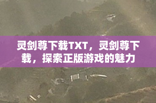 灵剑尊下载TXT，灵剑尊下载，探索正版游戏的魅力