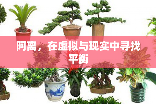 阿离，在虚拟与现实中寻找平衡