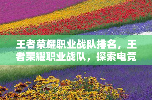 王者荣耀职业战队排名，王者荣耀职业战队，探索电竞背后的专业与激情