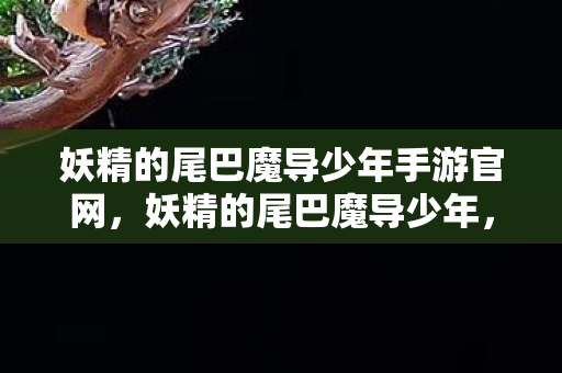 妖精的尾巴魔导少年手游官网，妖精的尾巴魔导少年，探索魔法世界的奇妙之旅