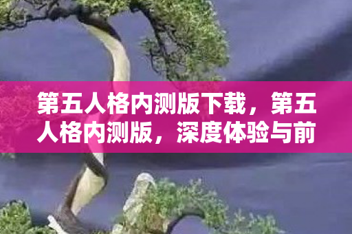 第五人格内测版下载，第五人格内测版，深度体验与前瞻解析