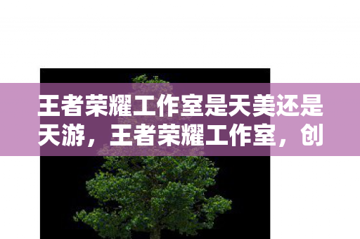 王者荣耀工作室是天美还是天游，王者荣耀工作室，创新与挑战并存的创作生态