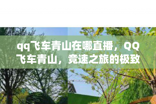 qq飞车青山在哪直播，QQ飞车青山，竞速之旅的极致追求