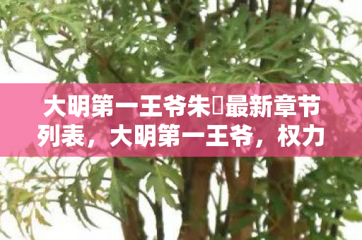 大明第一王爷朱棡最新章节列表，大明第一王爷，权力与荣耀的巅峰