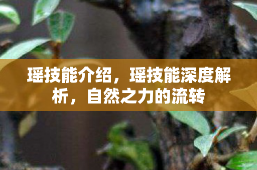 瑶技能介绍，瑶技能深度解析，自然之力的流转