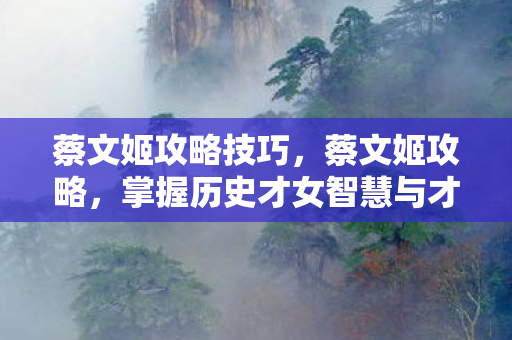 蔡文姬攻略技巧，蔡文姬攻略，掌握历史才女智慧与才艺的全方位指南