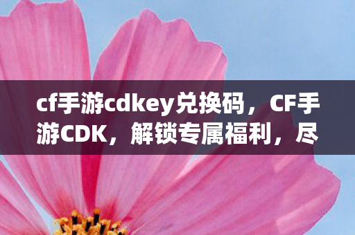 cf手游cdkey兑换码，CF手游CDK，解锁专属福利，尽享游戏乐趣