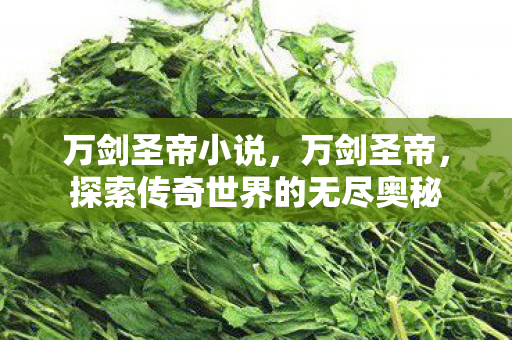 万剑圣帝小说，万剑圣帝，探索传奇世界的无尽奥秘
