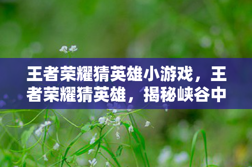 王者荣耀猜英雄小游戏，王者荣耀猜英雄，揭秘峡谷中的神秘角色