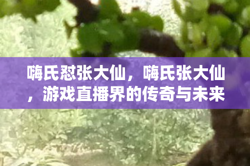 嗨氏怼张大仙，嗨氏张大仙，游戏直播界的传奇与未来