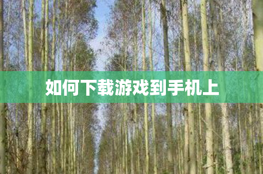 如何下载游戏到手机上