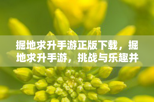掘地求升手游正版下载，掘地求升手游，挑战与乐趣并存的移动冒险之旅