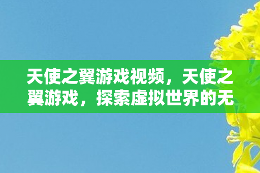 天使之翼游戏视频，天使之翼游戏，探索虚拟世界的无限可能