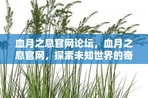 血月之息官网论坛，血月之息官网，探索未知世界的奇幻之旅