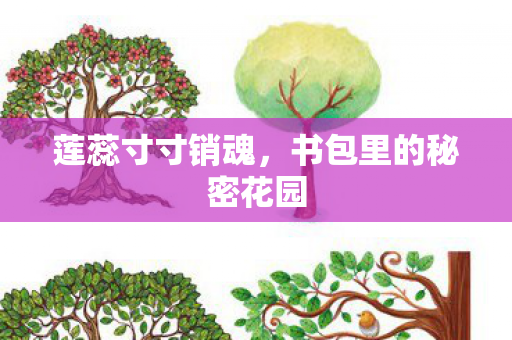 莲蕊寸寸销魂，书包里的秘密花园