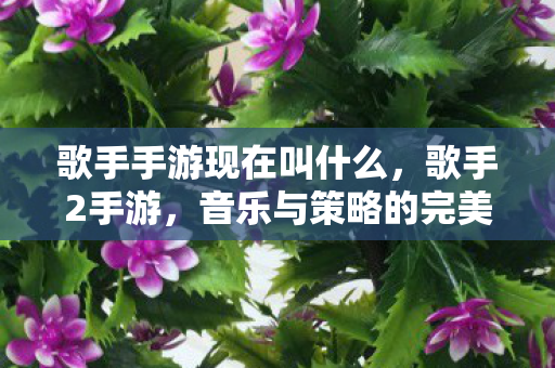 歌手手游现在叫什么，歌手2手游，音乐与策略的完美融合