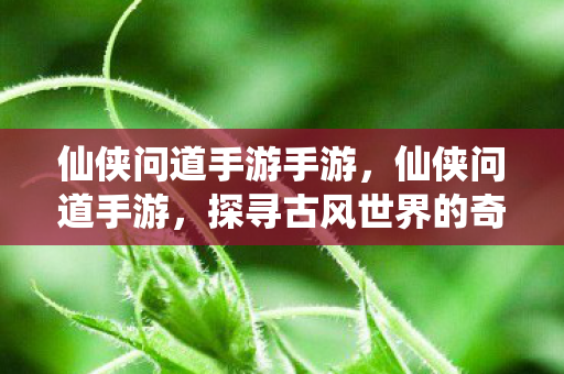 仙侠问道手游手游，仙侠问道手游，探寻古风世界的奇妙之旅