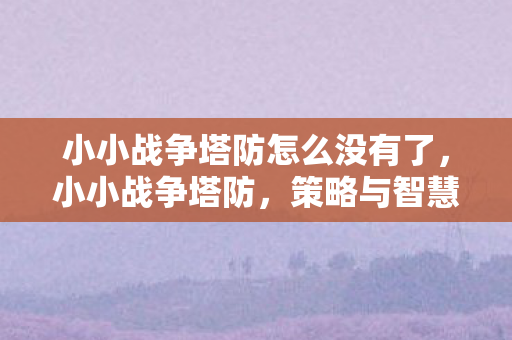 小小战争塔防怎么没有了，小小战争塔防，策略与智慧的碰撞