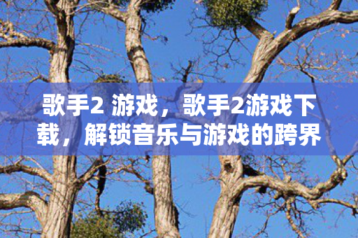 歌手2 游戏，歌手2游戏下载，解锁音乐与游戏的跨界融合