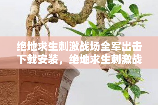 绝地求生刺激战场全军出击下载安装，绝地求生刺激战场全军出击，竞技与策略的完美结合
