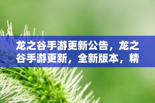 龙之谷手游更新公告，龙之谷手游更新，全新版本，精彩不断！