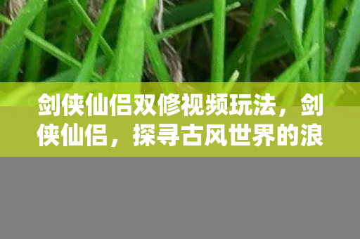 剑侠仙侣双修视频玩法，剑侠仙侣，探寻古风世界的浪漫与传奇