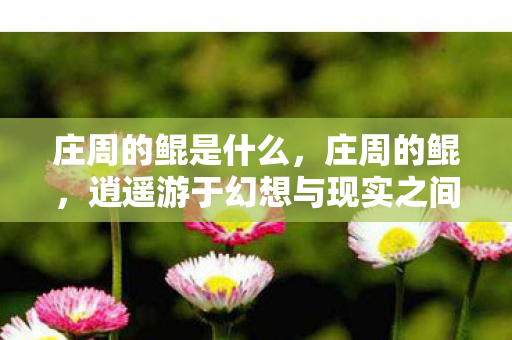 庄周的鲲是什么，庄周的鲲，逍遥游于幻想与现实之间