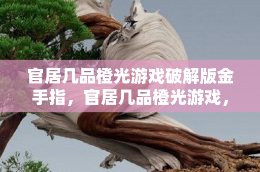 官居几品橙光游戏破解版金手指，官居几品橙光游戏，古风权谋的沉浸式体验