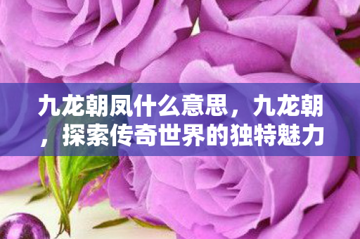 九龙朝凤什么意思，九龙朝，探索传奇世界的独特魅力
