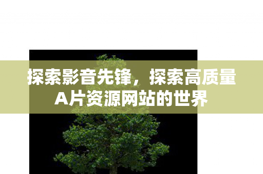 探索影音先锋，探索高质量A片资源网站的世界