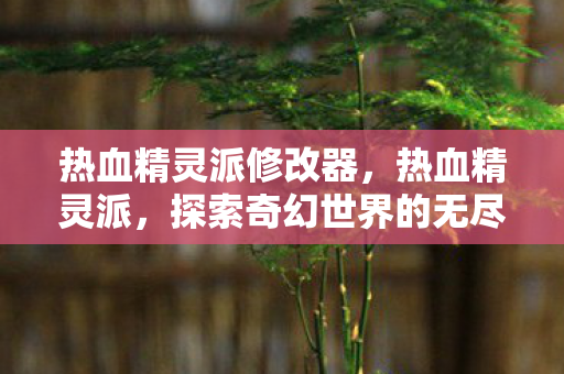 热血精灵派修改器，热血精灵派，探索奇幻世界的无尽冒险