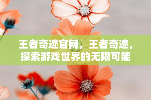 王者奇迹官网，王者奇迹，探索游戏世界的无限可能