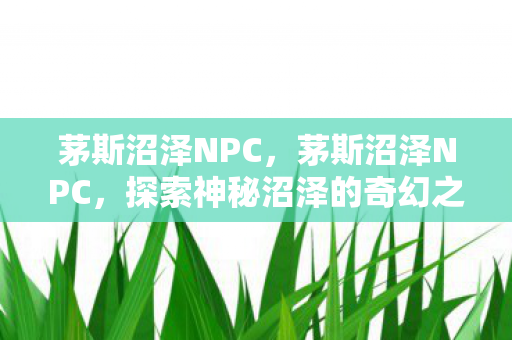 茅斯沼泽NPC，茅斯沼泽NPC，探索神秘沼泽的奇幻之旅