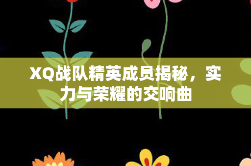 XQ战队精英成员揭秘，实力与荣耀的交响曲