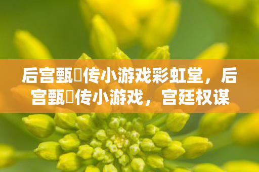 后宫甄嬛传小游戏彩虹堂，后宫甄嬛传小游戏，宫廷权谋的趣味演绎