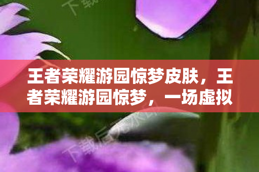 王者荣耀游园惊梦皮肤，王者荣耀游园惊梦，一场虚拟与现实交织的梦境