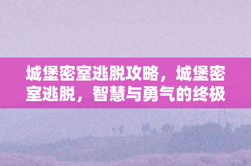 城堡密室逃脱攻略，城堡密室逃脱，智慧与勇气的终极挑战