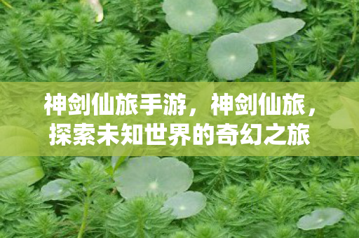 神剑仙旅手游，神剑仙旅，探索未知世界的奇幻之旅