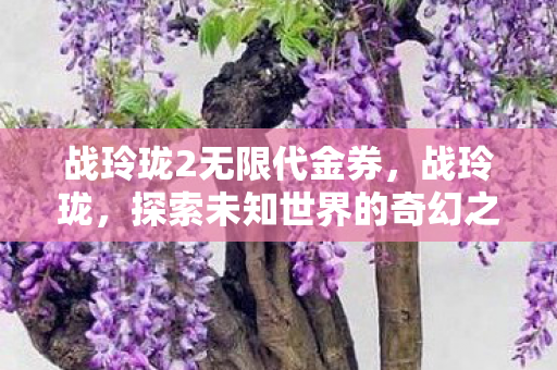 战玲珑2无限代金券，战玲珑，探索未知世界的奇幻之旅