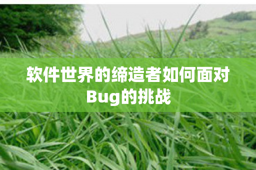 软件世界的缔造者如何面对Bug的挑战