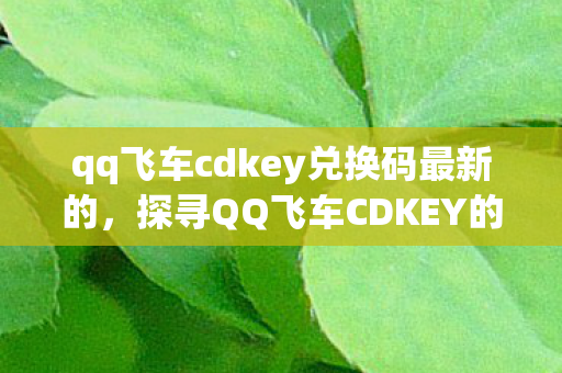 qq飞车cdkey兑换码最新的，探寻QQ飞车CDKEY的神秘世界，解锁速度与激情的钥匙