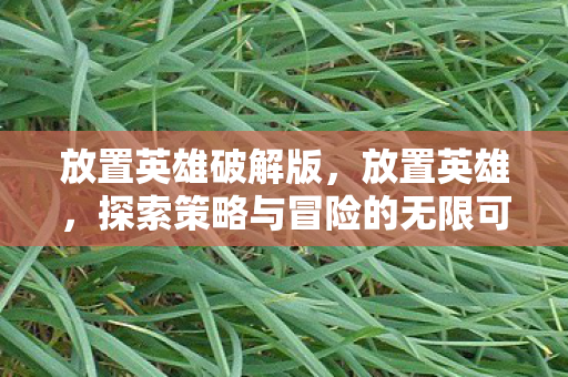 放置英雄破解版，放置英雄，探索策略与冒险的无限可能