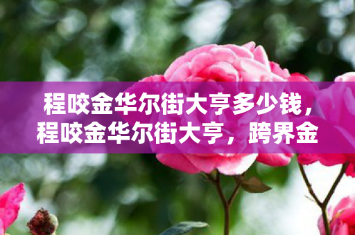 程咬金华尔街大亨多少钱，程咬金华尔街大亨，跨界金融的传奇故事