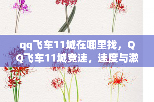 qq飞车11城在哪里找，QQ飞车11城竞速，速度与激情的碰撞