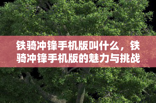 铁骑冲锋手机版叫什么，铁骑冲锋手机版的魅力与挑战